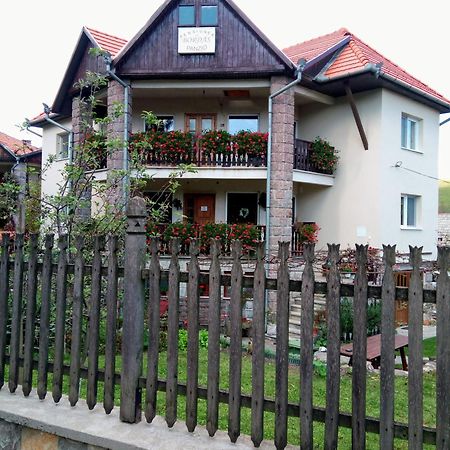 Pensiunea Bordas Panzio Sfantu Gheorghe  Luaran gambar