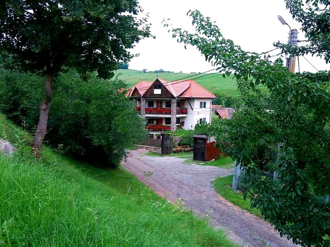 Pensiunea Bordas Panzio Sfantu Gheorghe  Luaran gambar