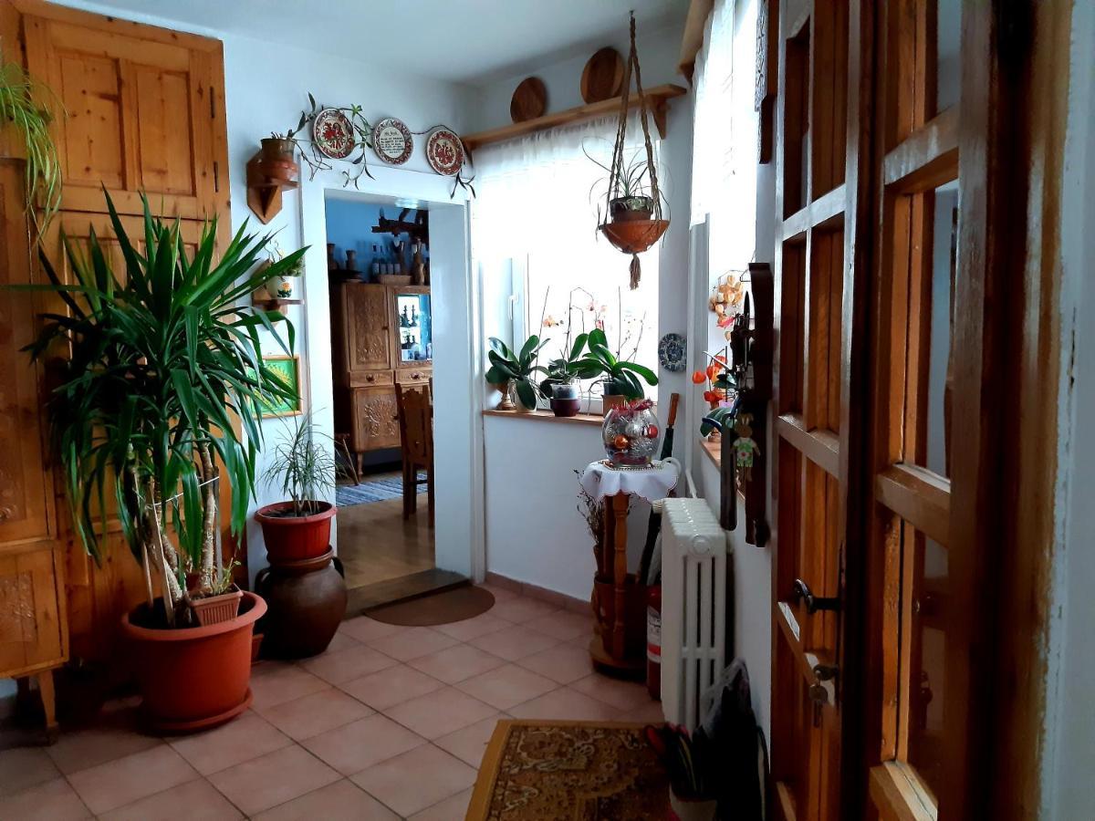 Pensiunea Bordas Panzio Sfantu Gheorghe  Luaran gambar