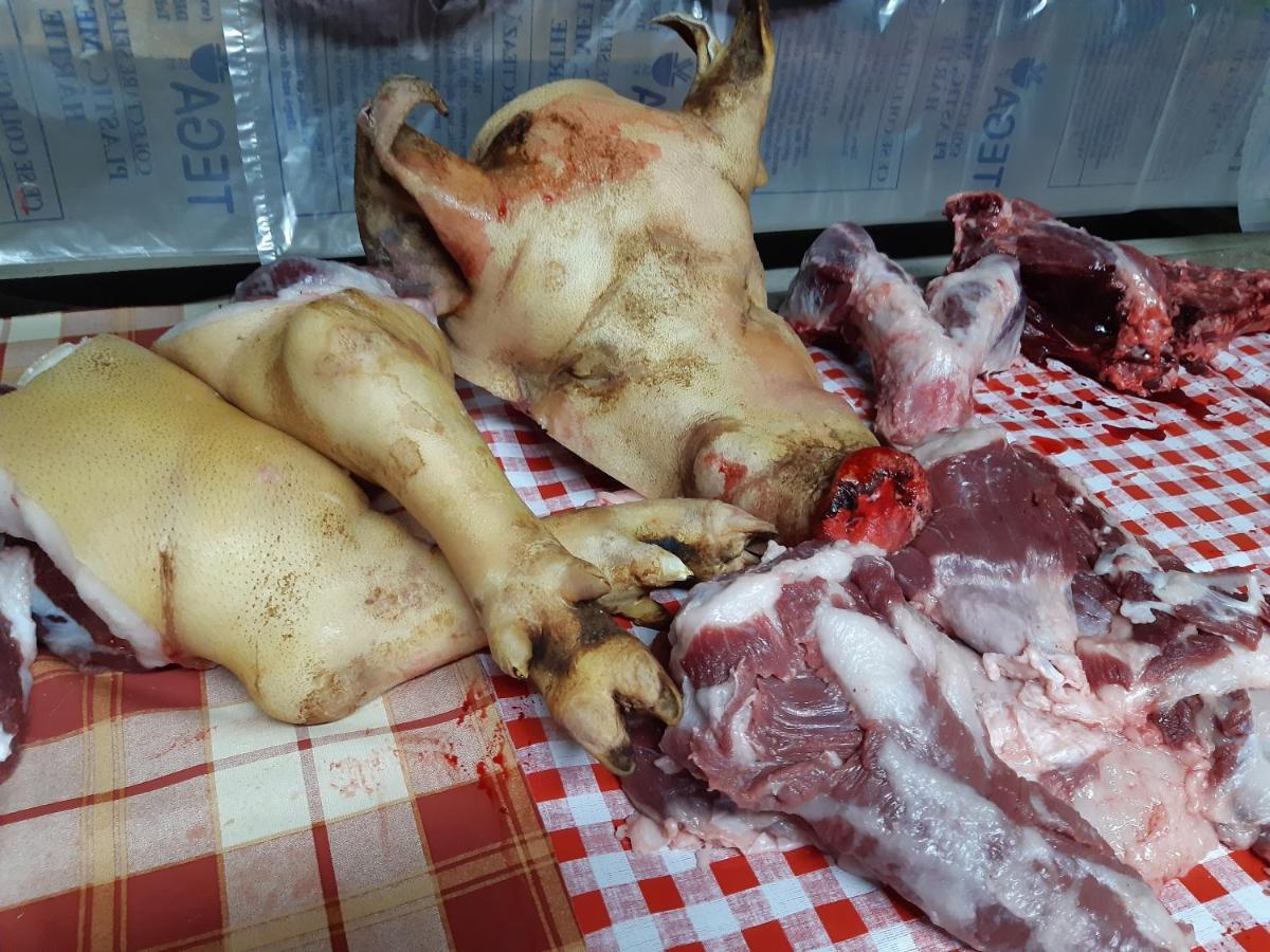 Pensiunea Bordas Panzio Sfantu Gheorghe  Luaran gambar