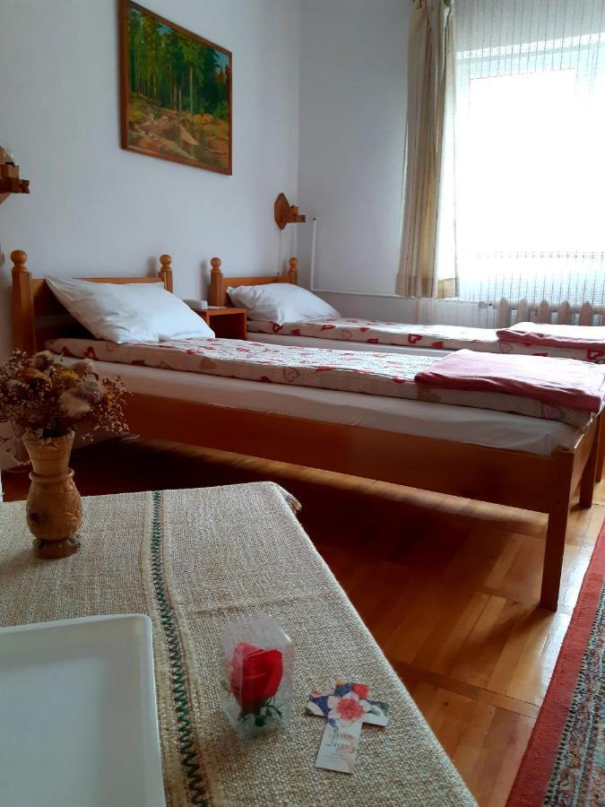 Pensiunea Bordas Panzio Sfantu Gheorghe  Luaran gambar