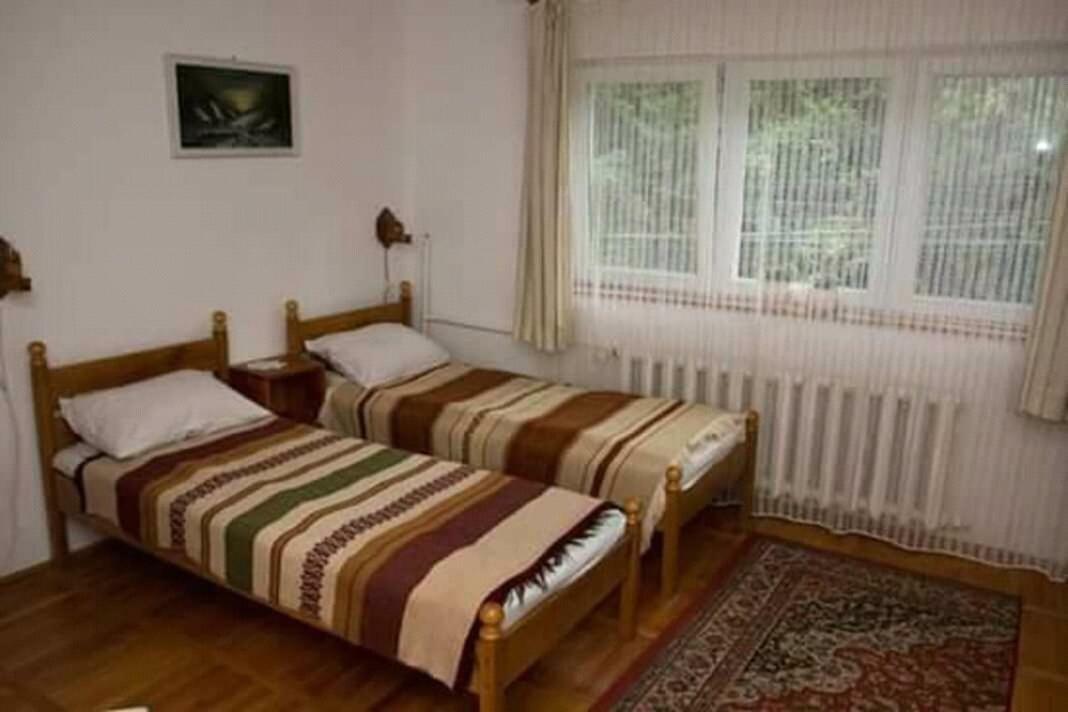 Pensiunea Bordas Panzio Sfantu Gheorghe  Luaran gambar