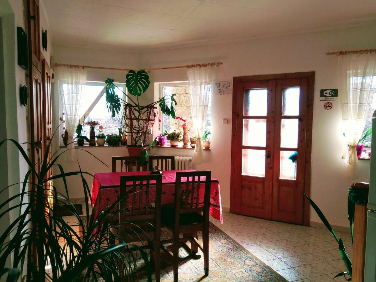 Pensiunea Bordas Panzio Sfantu Gheorghe  Luaran gambar