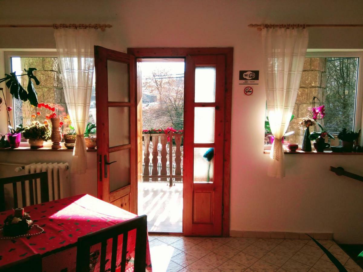 Pensiunea Bordas Panzio Sfantu Gheorghe  Luaran gambar